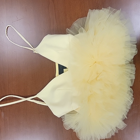 💛🆕️Zara XS Yellow Stretch Tulle Ruffle Hem Crop Top 4772/005 - Picture 7 of 9